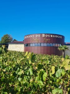 Enseigne & Vitrophanie - Lettres 3D - Crémant de Bourgogne